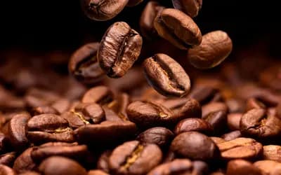 Café e milho registram alta nesta quinta-feira (24)